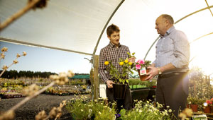 Wal's Plant Land
