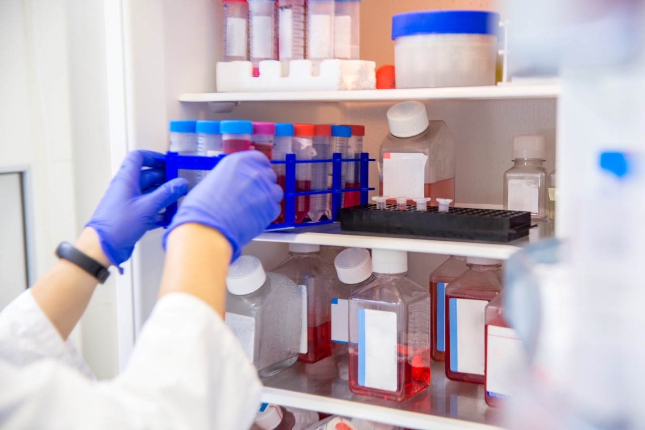 IoT temperature and humidity monitoring solution Spark NZ